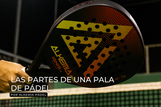 partes-palas-padel