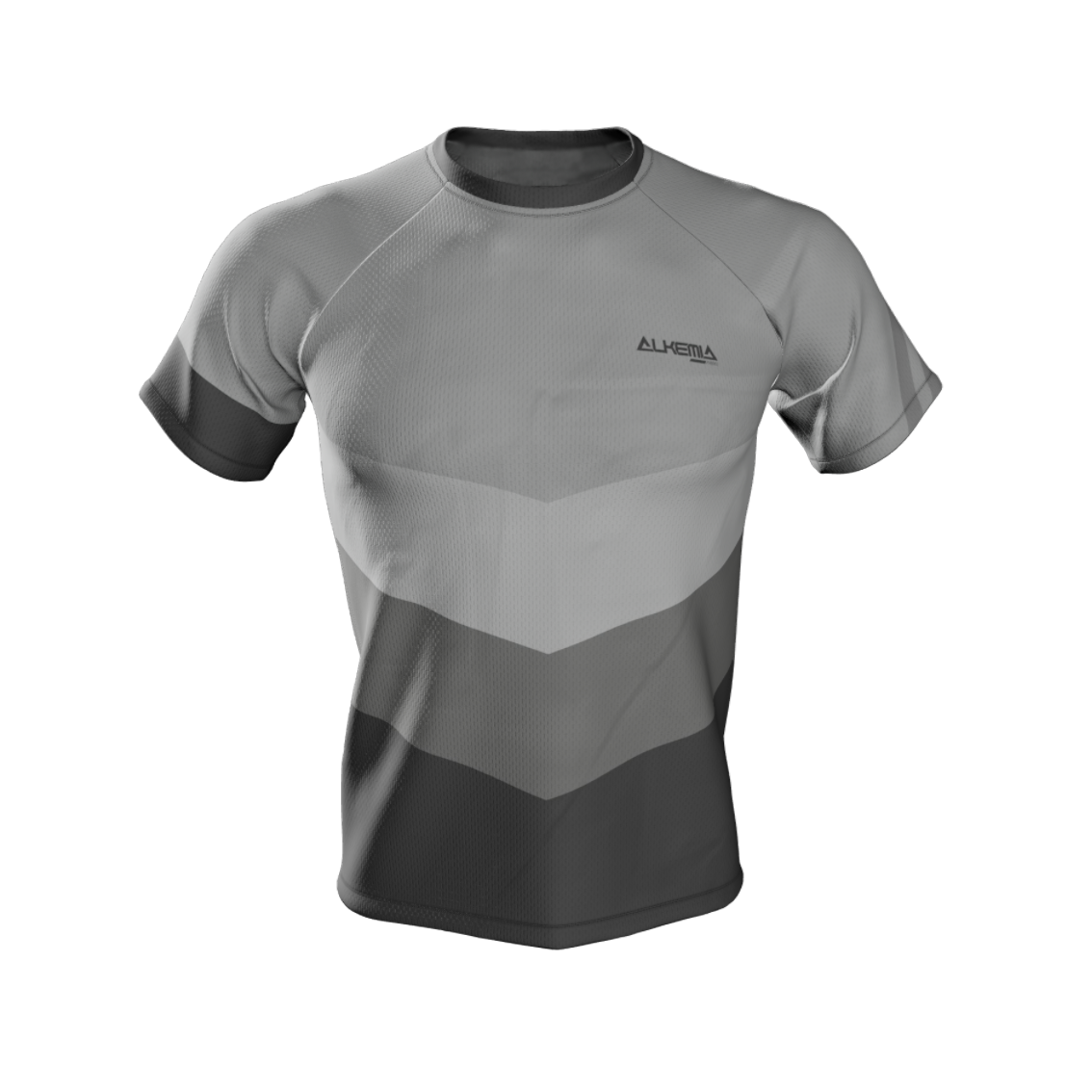 Camiseta Alkemia Gris Tejido Pro 2023